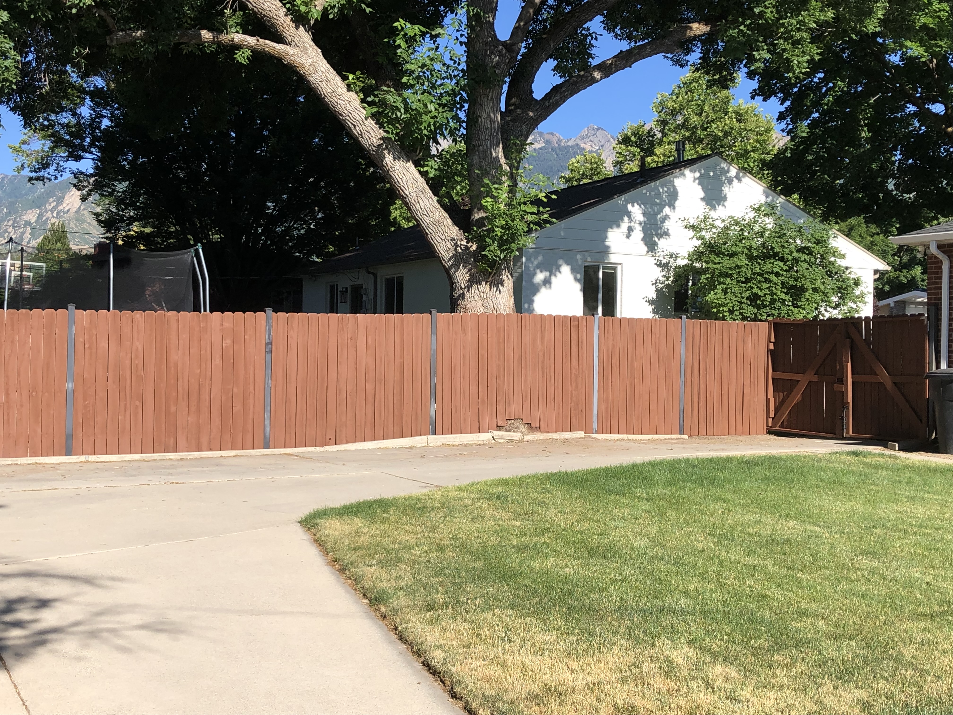 Freshly stained cedar fence with mountains in the background — fence staining Utah